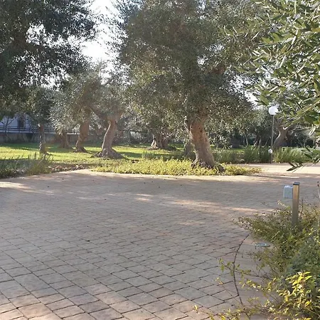 Tra Gli Ulivi Villa Putignano Exterior photo
