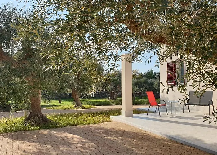 Tra Gli Ulivi