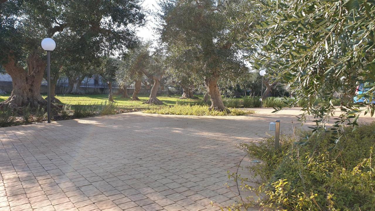 Holiday home Tra Gli Ulivi *